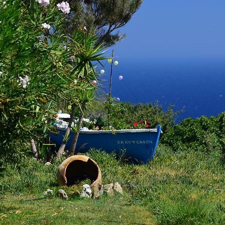 Panoramma Hause, Kampos Evdilou,Ikaria Evdilos (Ikaria) Exterior foto